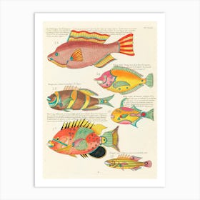 Colourful And Surreal Illustrations Of Fishes Found In Moluccas (Indonesia) And The East Indies, Louis Renard Art Print