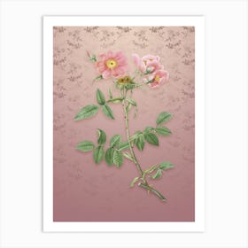 Vintage Lady Monson Rose Bloom Botanical on Dusty Pink Pattern n.1535 Art Print