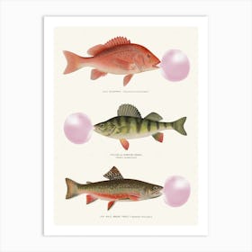 Bubblegum Fish Green & Pink Art Print