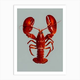 Lobster Art Print