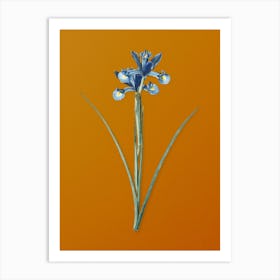 Vintage Spanish Iris Botanical on Sunset Orange Art Print