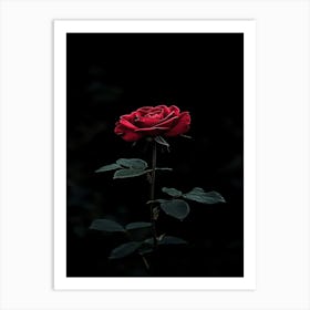 Dark Rose 151 Art Print