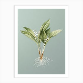 Vintage Lily of the Valley Botanical Art on Mint Green n.0788 Art Print