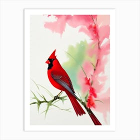 Cardinal 2 Watercolour Bird Art Print
