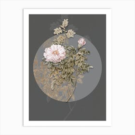 Vintage Botanical Ventenat's Rose on Circle Gray on Gray n.0111 Art Print