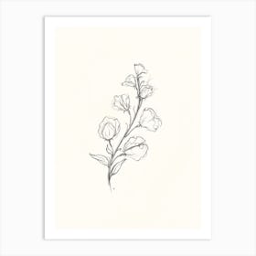 Antique Sweet Pea Art Print