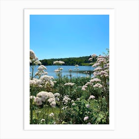 Lake With Flowers Art Print