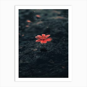 Flower In The Dark 99 Art Print