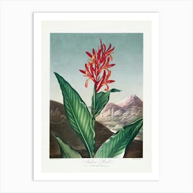 Vintage Botanical Temple Of Flora _2476825 Art Print