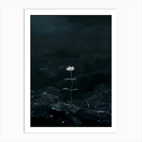 Single Flower In The Dark 91 Art Print