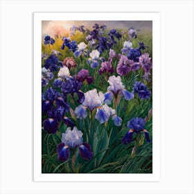 Iris Field Art Print