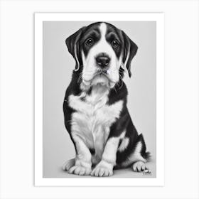 Petit Basset Griffon Vendeen B&W Pencil Dog Art Print