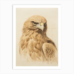 Vintage Bird Drawing Golden Eagle Art Print