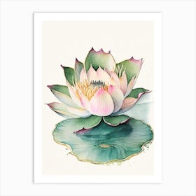 Blooming Lotus Flower In Lake Watercolour Ink Pencil 4 Art Print