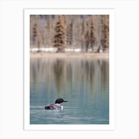 Duck In Blue Lake Art Print