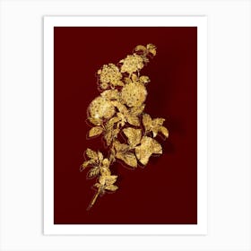 Vintage Germander Meadowsweet Botanical in Gold on Red n.0521 Art Print