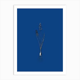 Vintage Autumn Squill Black and White Gold Leaf Floral Art on Midnight Blue n.0672 Art Print