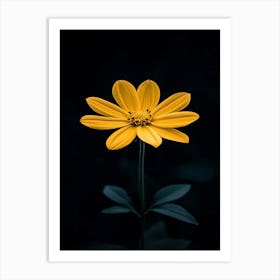 Single Yellow Flower 8 Art Print