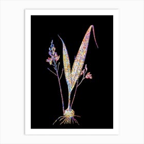 Stained Glass Pine Pink Mosaic Botanical Illustration on Black n.0091 Art Print