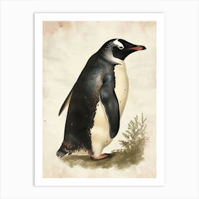 Adlie Penguin Ross Island Vintage Botanical Painting 2 Art Print