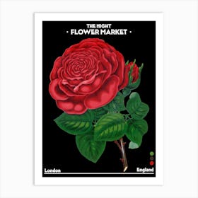 Flower Market Night London England Vintage Botanical Art Print