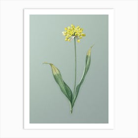 Vintage Golden Garlic Botanical Art on Mint Green n.0685 Art Print