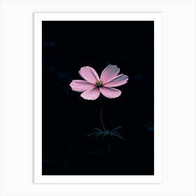 Single Pink Flower 2 Art Print