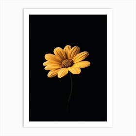 Single Yellow Daisy 3 Art Print