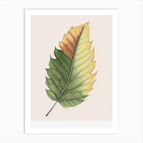 Ash Leaf Warm Warm Tones 2 Art Print