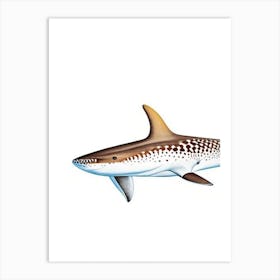 Epaulette Shark Vintage Art Print