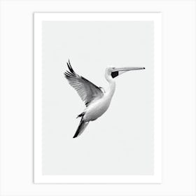 Pelican B&W Pencil Drawing 1 Bird Art Print