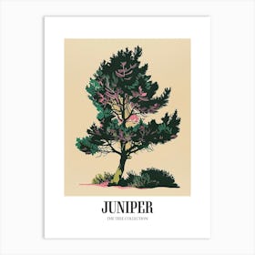 Juniper Tree Colourful Illustration 2 Poster Art Print