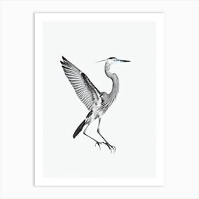 Great Blue Heron B&W Pencil Drawing 2 Bird Art Print
