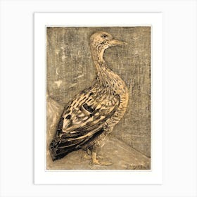 Standing Duck (1878–1909), Theo Van Hoytema Art Print