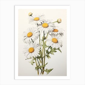 Daisies Flower Vintage Botanical 3 Art Print