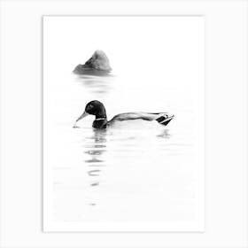 A Black And White Duck And A Rock In The Water With A Reflection Art Print