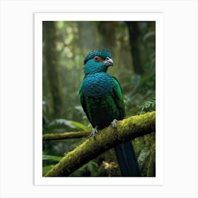 Green Parrot In The Rainforest Art Print