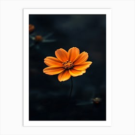 Single Orange Flower 8 Art Print