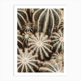 Hairy Cactus Art Print