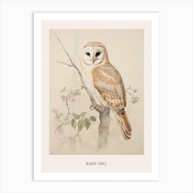 Vintage Bird Drawing Barn Owl 1 Poster Art Print