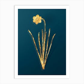 Vintage Narcissus Poeticus Botanical in Gold on Teal Blue n.0146 Art Print