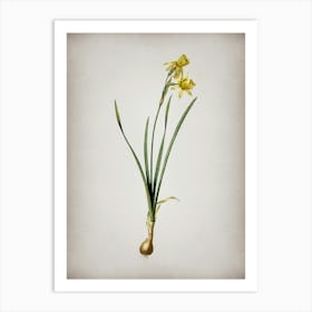 Vintage Narcissus Calathinus Botanical on Parchment n.0459 Art Print