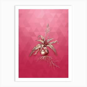 Vintage Lachenalia Lanceaefolia Botanical in Gold on Viva Magenta n.0816 Art Print