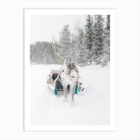 Winter Reindeer Art Print