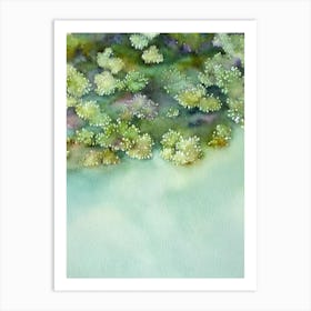 Acropora Nasuta Ii Storybook Watercolour Art Print