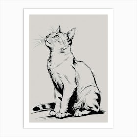 Cat Drawing 1 Art Print