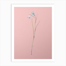 Vintage Blue Pipe Botanical on Soft Pink n.0119 Art Print