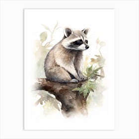 A Chiriqui Raccoon Watercolour Illustration Storybook 3 Art Print