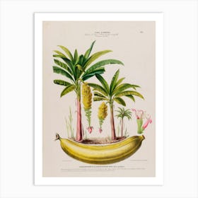 Banana Plantation Art Print