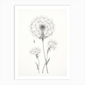 Dandelions Flower Vintage Botanical 0 Art Print